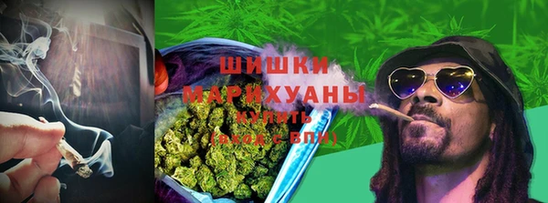 индика Белоозёрский