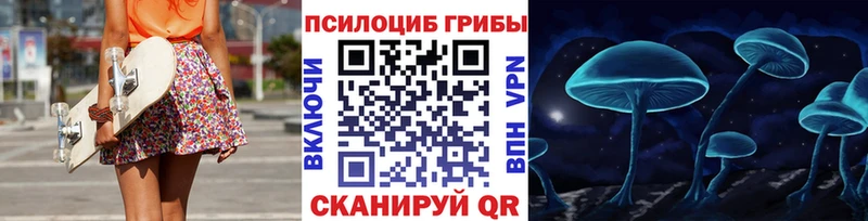 Галлюциногенные грибы Psilocybine cubensis  кракен зеркало  Кашин  закладки 