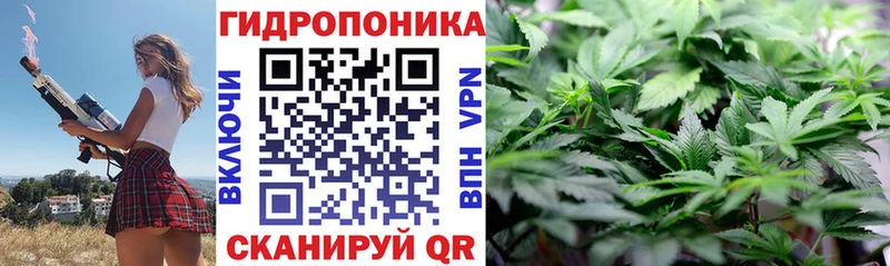Марихуана марихуана  Кашин 